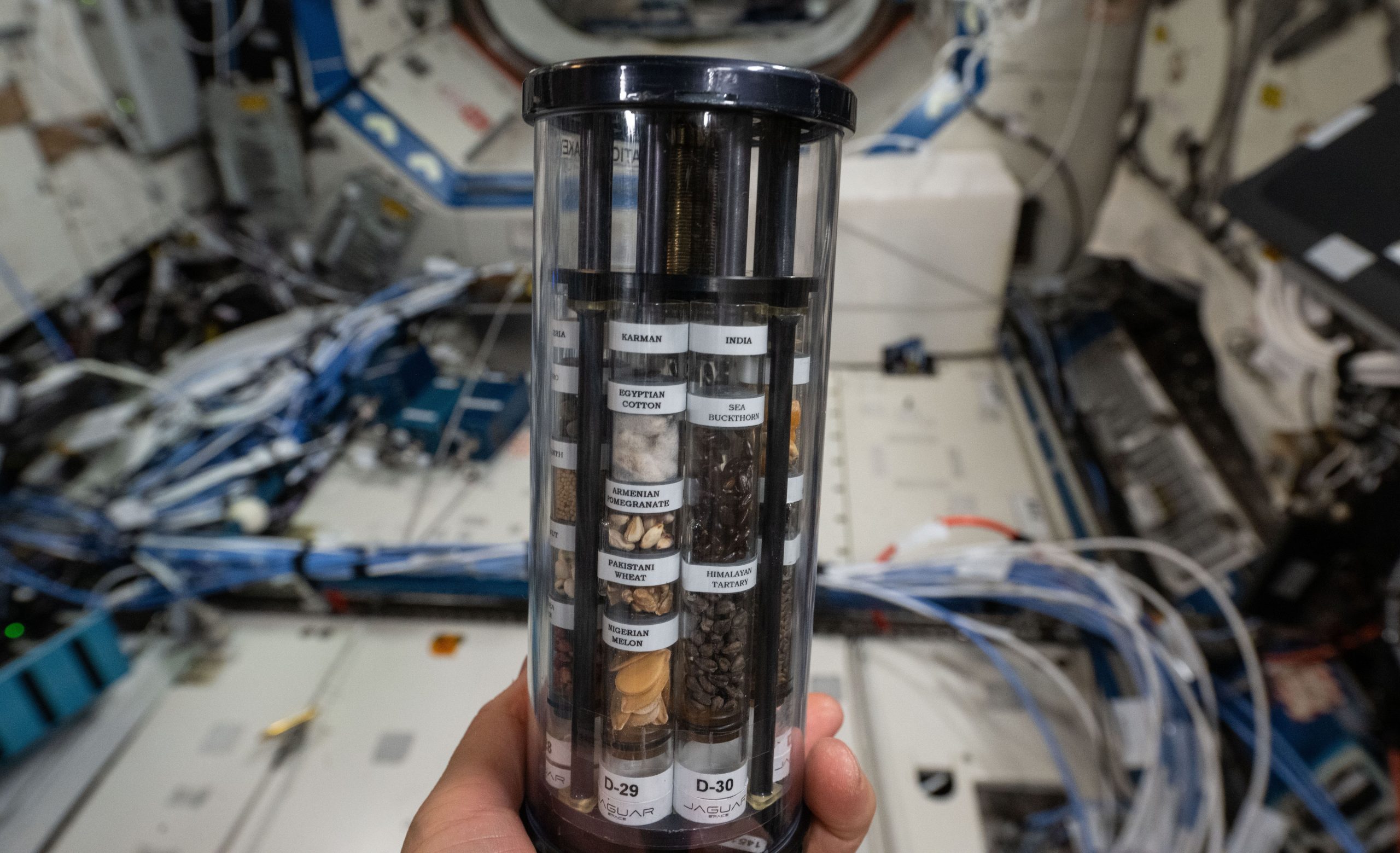 Microgravity Payloads Armenian Pomegranate as Scientific Payload for Microgravity Experiment ...